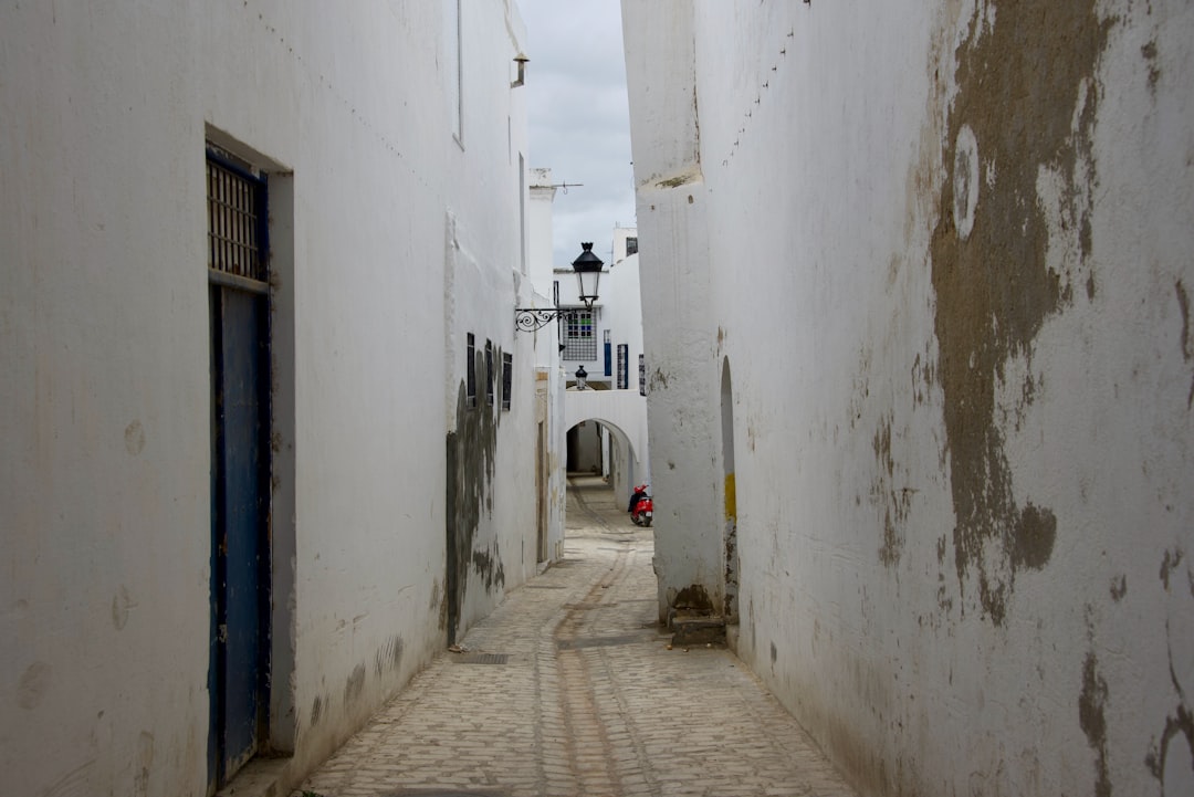 Tunis nightlife guide
