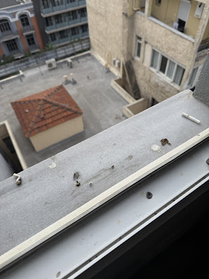 Urban House