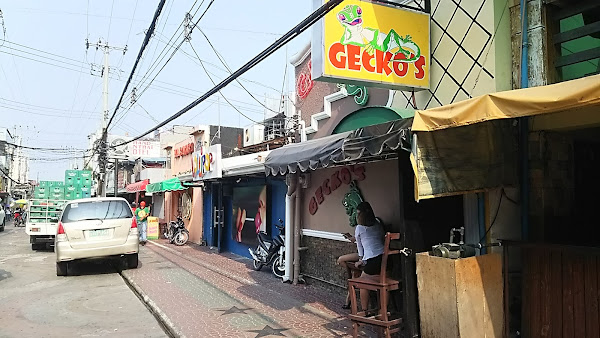 Gecko's